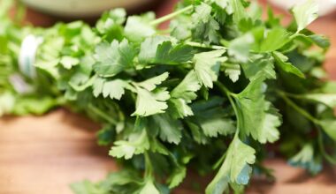 Parsley - Flat Leaf - 120g GH